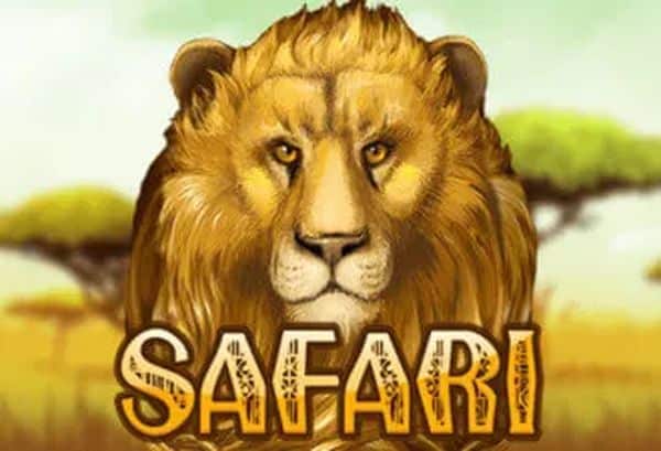 Safari